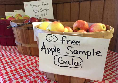 Apple Orchards